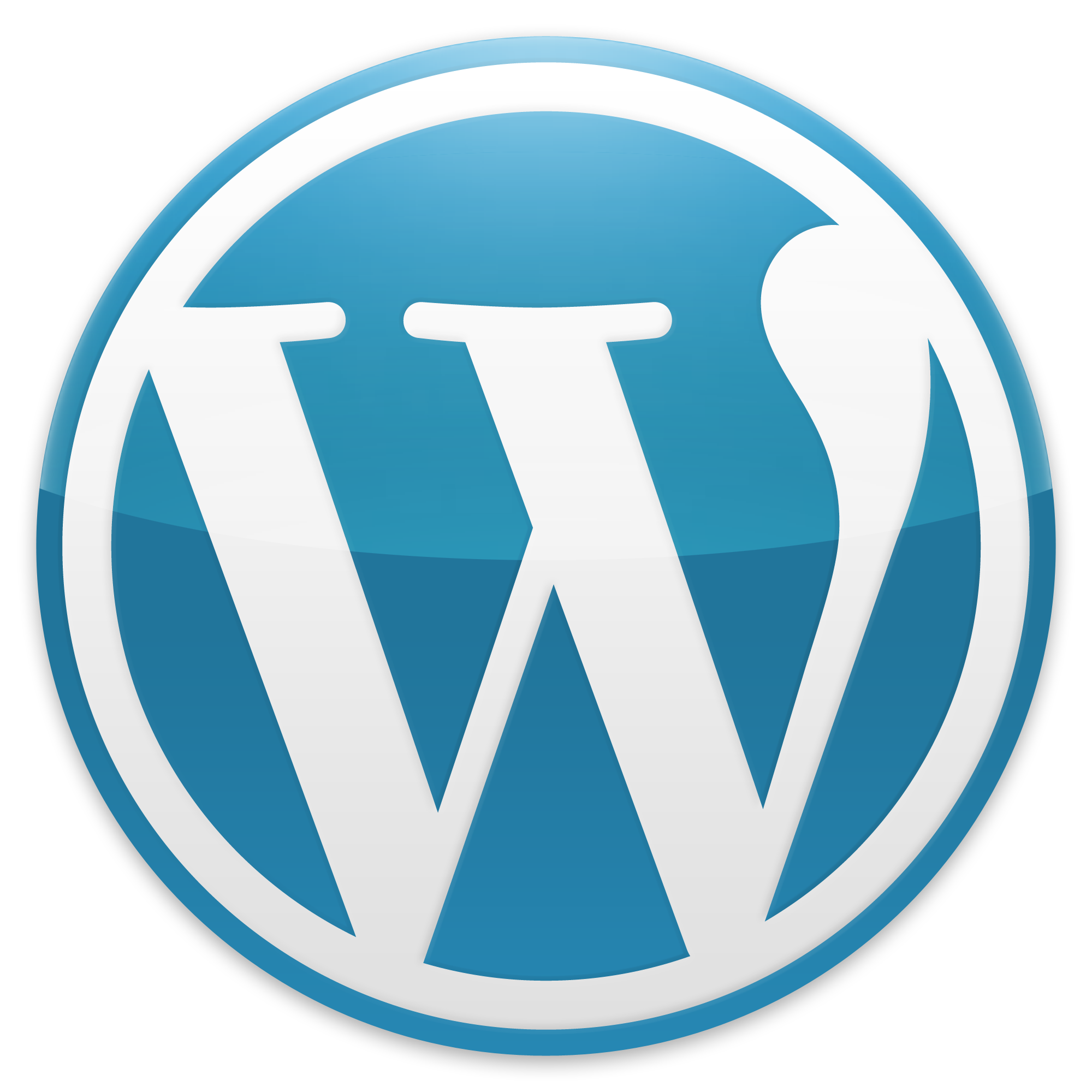 hire WordPress developer
