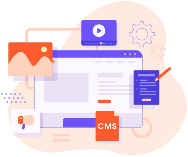 web & cms development